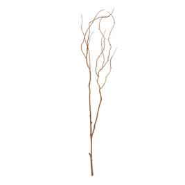WILLOW TWIG