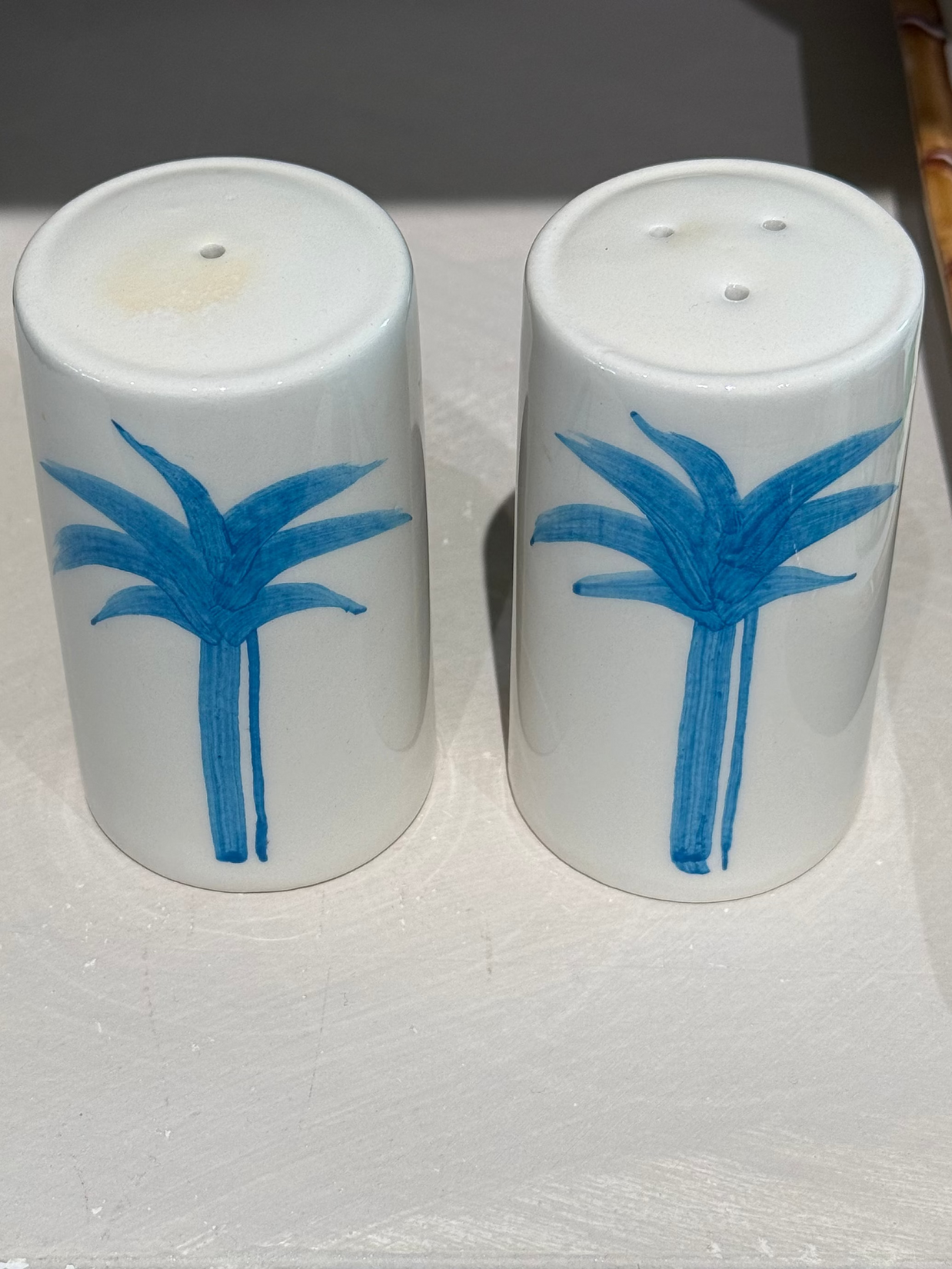 HAND PAINTED CERAMIC SALT & PEPPER SHAKER (PALM)