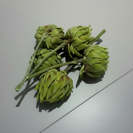 Preserved artichoke bundle - Pack of 5