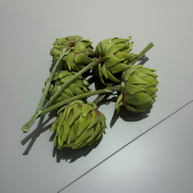 Preserved artichoke bundle - Pack of 5