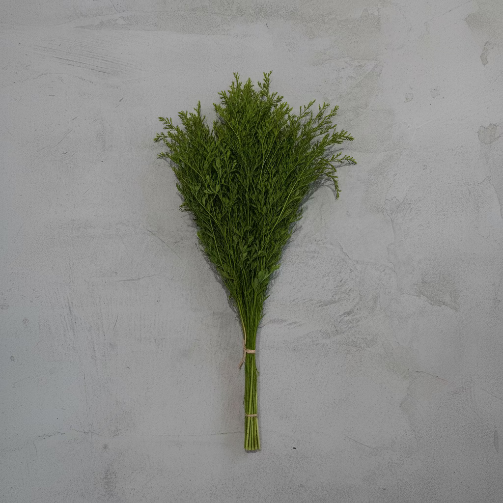 A small bunch of fresh green herbs, likely dill or parsley, wrapped in clear plastic and tied with a string, set against a textured gray concrete background.