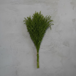 A small bunch of fresh green herbs, likely dill or parsley, wrapped in clear plastic and tied with a string, set against a textured gray concrete background.