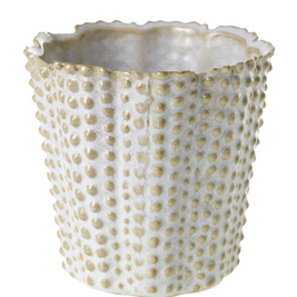 NILLY POT 5