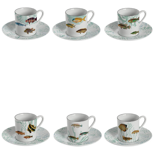 AMAMI COFFEE CUPS