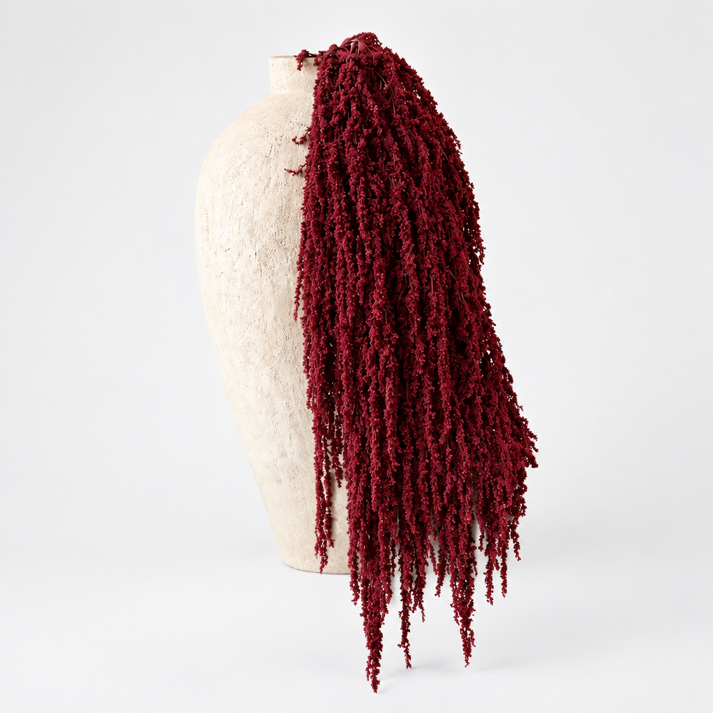 BURGUNDY HANGING AMARANTHUS