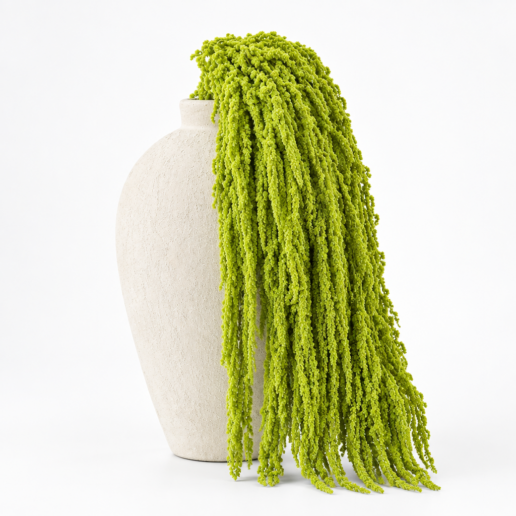 LIME GREEN HANGING AMARANTHUS