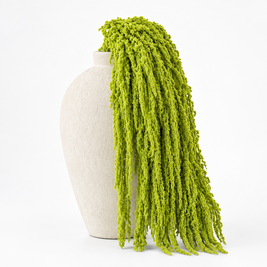 LIME GREEN HANGING AMARANTHUS