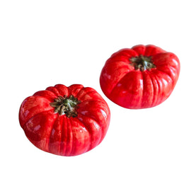 CERAMIC SALT & PEPPER SHAKERS