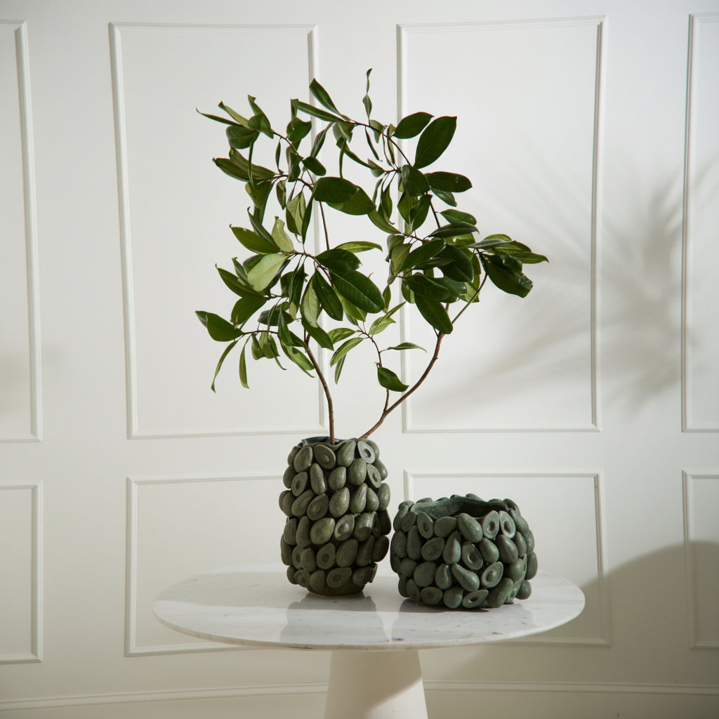 Layered Avocado Pot 16.5